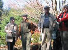 group in pergola